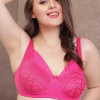 Lace Non-Padded Non-Wired Full Coverage Plus Size Bra