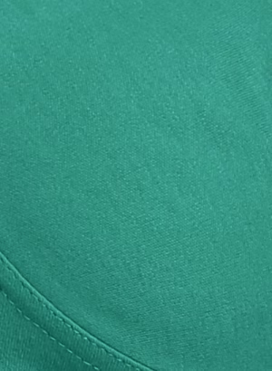 Non-Padded Non-Wired Full Coverage Bra with Double Layered Cups In Green - Cotton Rich