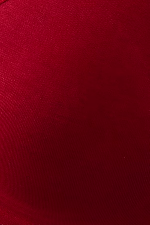 Non-Padded Non-Wired Full Figure T-shirt Bra in Maroon