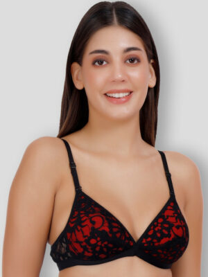 Net Embroided Half Coverage Lightly Padded Plunge Bra