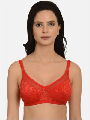 Non-padded Non wired Mesh Net Minimizer Bra
