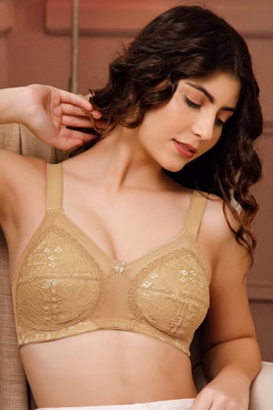Non-Padded Non-Wired Full Figure Minimizer Bra in Nude Colour