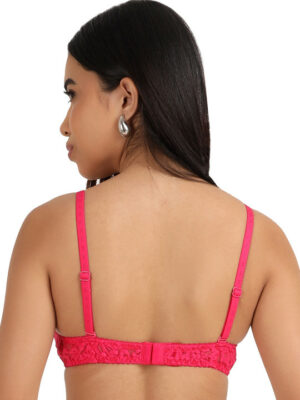 Women Net Embroided Half Coverage Lightly Padded Bra