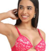 Women Net Embroided Half Coverage Lightly Padded Bra