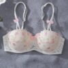 Romantic Sweet Floral Embroidered Bra