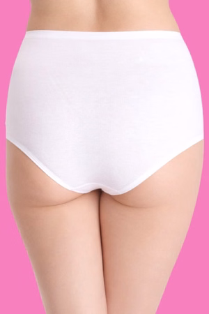 High Waist Hipster with Lace Panels in White - Cotton