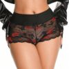 Elacene Lace Patchwork Semi-Transparent Naked Hipster Pantie