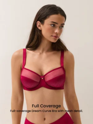 Full Coverage Side Support Christmas Red Mesh Sheer Sexy Bra